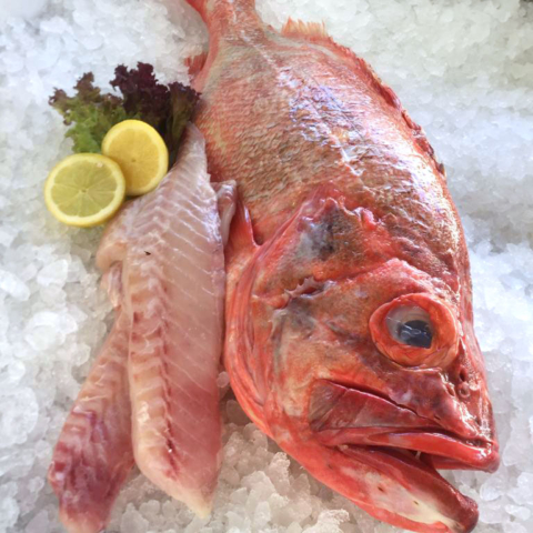 Rotbarsch | Fischmarkt Deggendorf