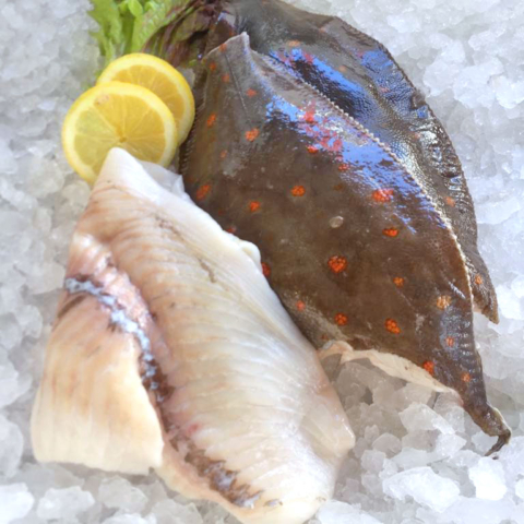 Scholle | Fischmarkt Deggendorf